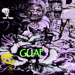 guap sstepteam - dj2008version