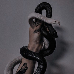 بنت حوى غشاشة دبكة سورية