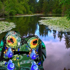 toxic algae in the lake but i want to swim