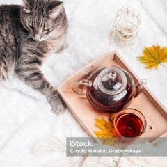 Episode #147 // lazy november