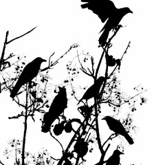 DAY 2: Still Don't Have a Clue