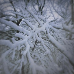 snow