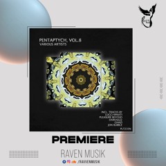 PREMIERE: Darknezz - Echos (Original Mix) [Polyptych Noir]