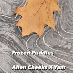 Frozen Puddles