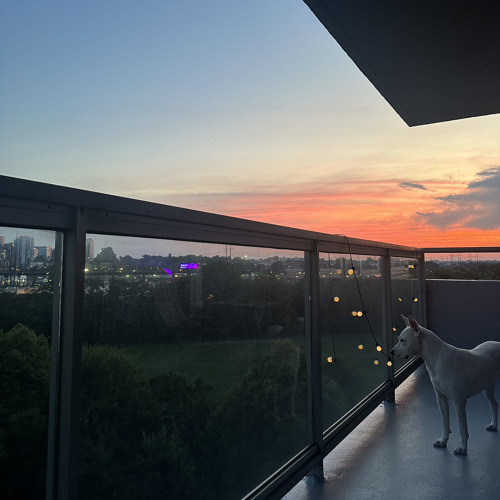 AN EVENING WITH DEV #001