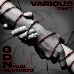 PREMIERE | Silentsevir - Assasins [Gesindel Der Nacht] (Free DL)