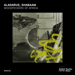 Aladarus, Shabaam - Mr. Riddim