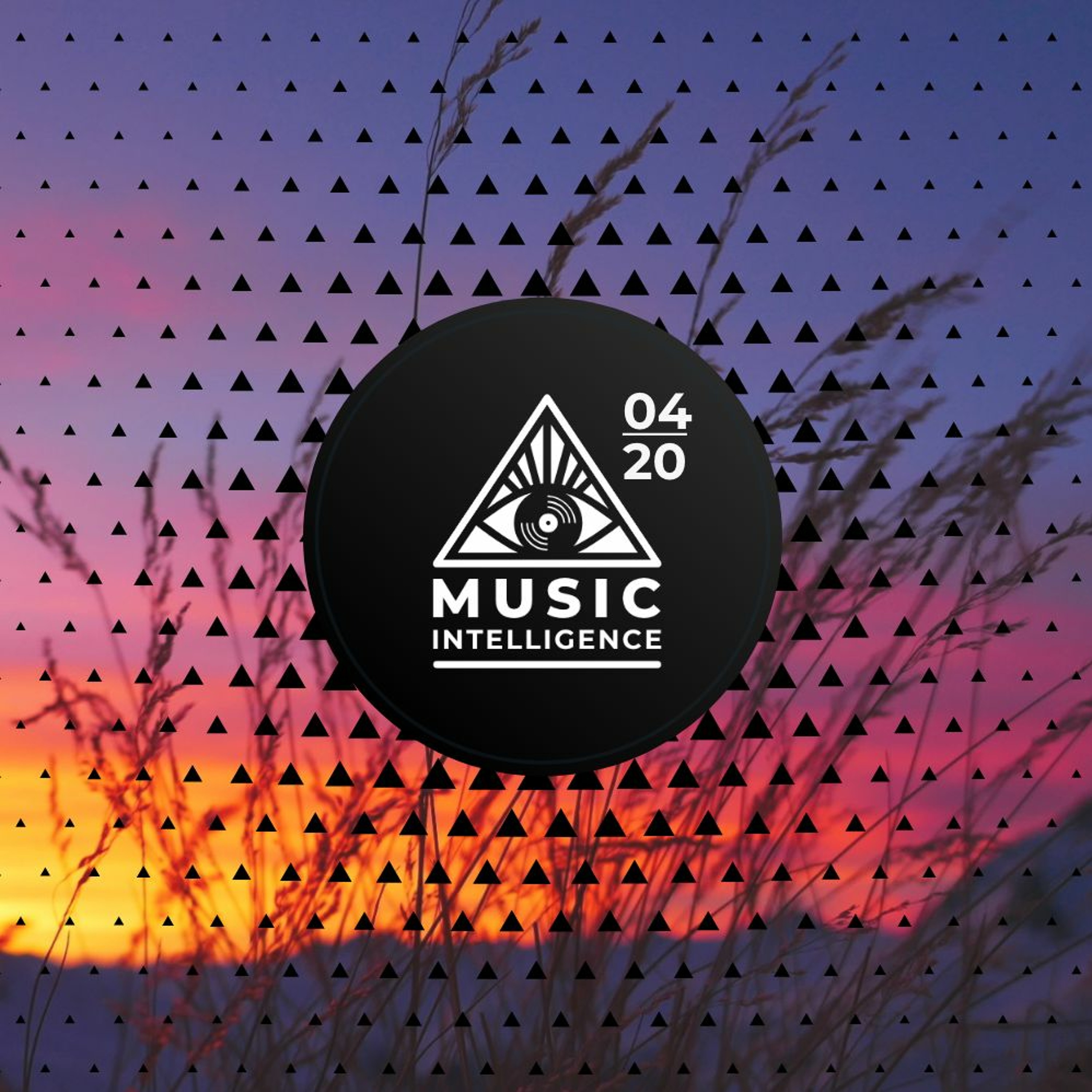 Music Intelligence Podcast