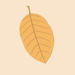 가을비