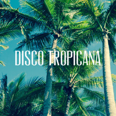 Disco Tropicana   - nu disco, disco house & disco classics