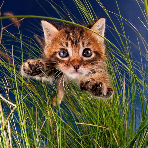 slugger_34 song #2 v2