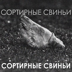 Сортирные свиньи