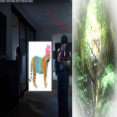 Giant Realistic Flying Tiger Visits Old Money Bitch