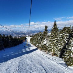 Grecescu @ Winterfest '20