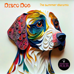 Disco Dog