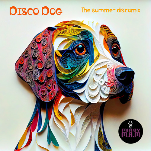 Disco Dog