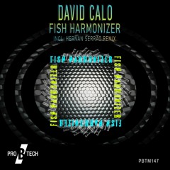 David Calo - Fish Harmonizer (Original Mix) MASTERED - SC SNIP