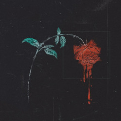 once you fall in luv