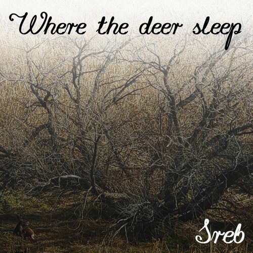 Where The Deer Sleep