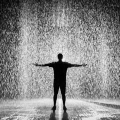 Where Do You Wander?