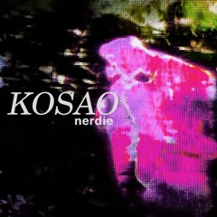 KOSAO - nerdie (prod. shxlk)