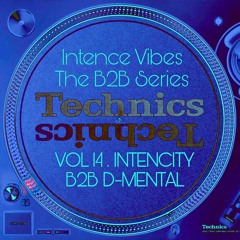 Intence Vibes - The B2B Series Vol 14: Intencity B2B D-Mental