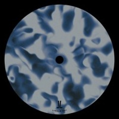 RNBWS - Amnesia Scale [LINALE001]