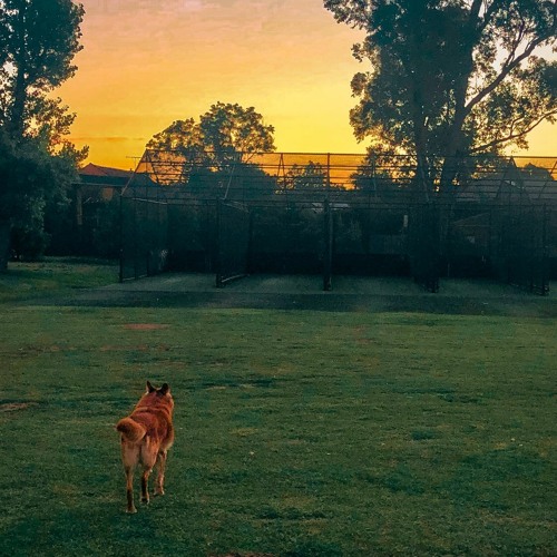 Owl City - Fireflies (HARDSTYLE) @Prodbywhippa sped up