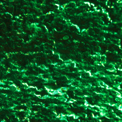 Ginebra (Original mix)