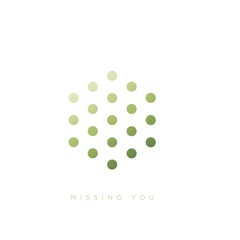 Missing You (feat. DRS & Tyler Daley)