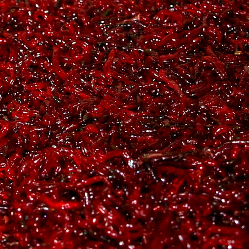 BLOODBATH [P. ANATVK]