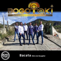 Bacata / Aire de Huayño