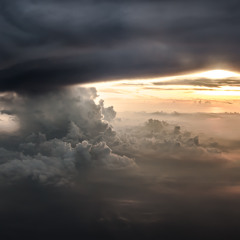 Profoundness 295
