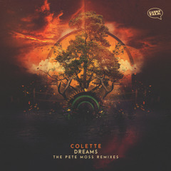 Dreams (Pete Moss Remix)
