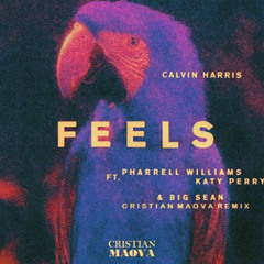 Calvin Harris - Feels (Clarkke Remix)