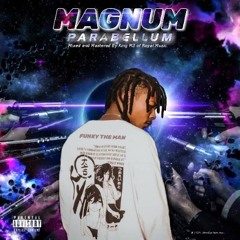 2.MAGNUM PARABELLUM