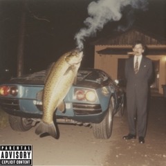 Swim With The Sharks