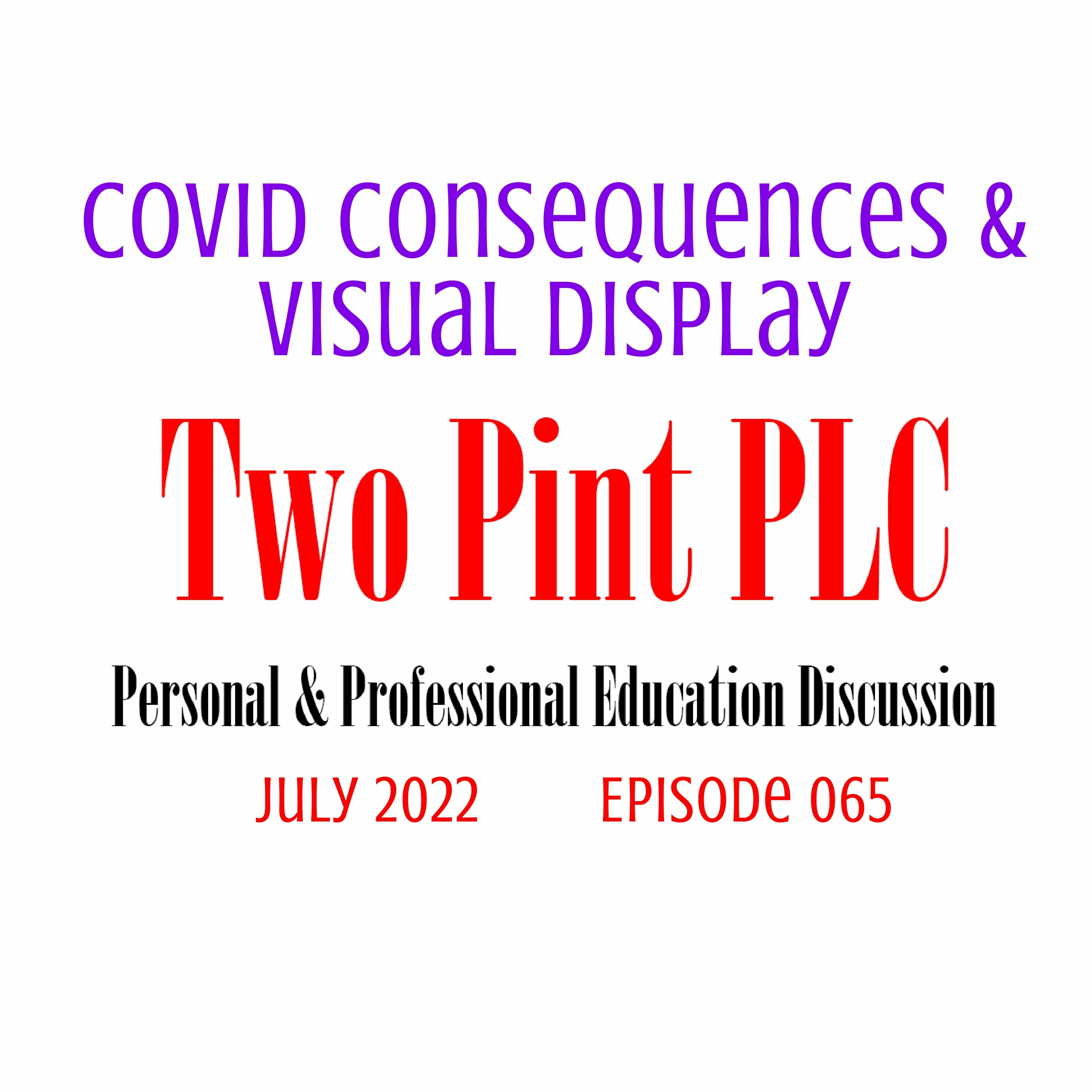 065 COVID Consequences & Visual Display