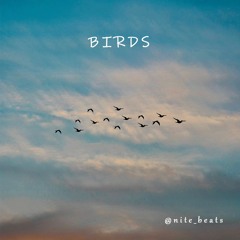 Beat De Trap - (Birds) Prod. Nite