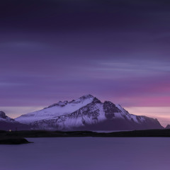 PASHANIM X DANTE YN - DREAMING