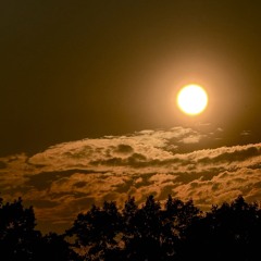 Sunshine