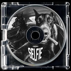 The Chainsmokers - #SELFIE ( CINQUINO REMIX )