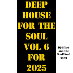 Deep House for the Soul Vol 6 2025