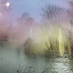 ZENIA - mist