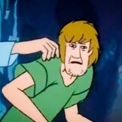 ZOINKS