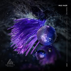 PREMIERE: Nils Haze - Make the Feel (Original Mix) [Gravity Records]