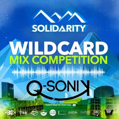 SOLIDARITY 2023 WILDCARD COMP - Q-SONIK