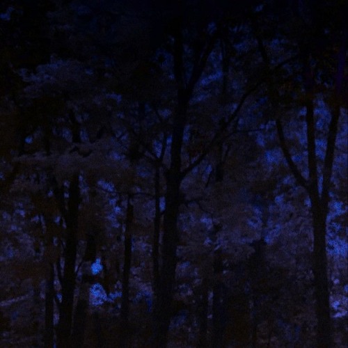 rxtarr - thoughts behind my eyes [2019]