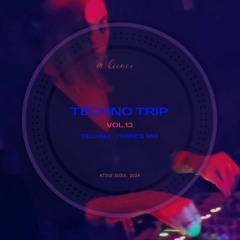 techno trip vol.12 (2024)