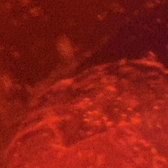 catacombs
